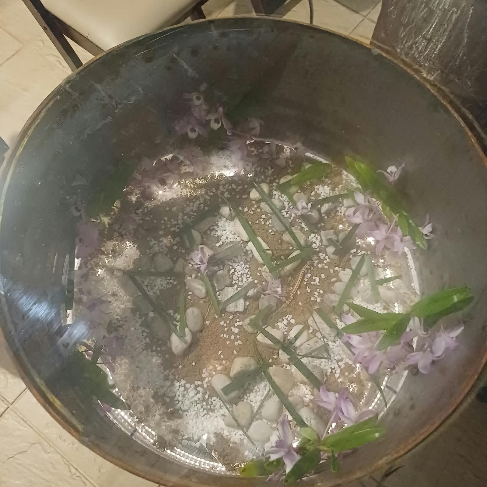 Detalhe do caminho de pedras e flores dentro da mesa